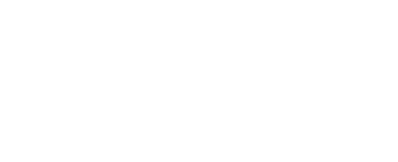 Social Services Trust